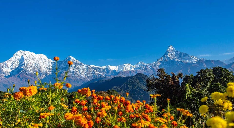 5 Days Mardi Himal Trekking (From Kathmandu by Flight - Transportation Information