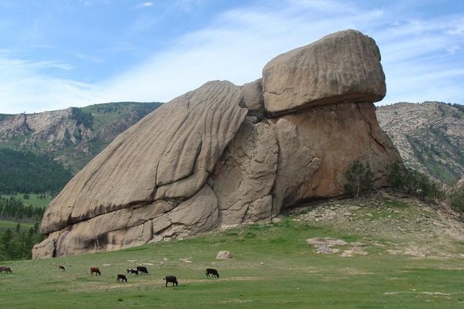 5 Days Terelj National Park Tour From Central Mongolia - Customer Experiences