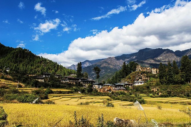 6-Day Tour of Dragon Kingdom From Paro - Optional Purchases