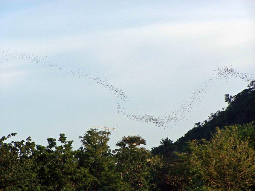 8 Days Private Tour Highlights of Cambodia - Day 3: Journey to Battambang