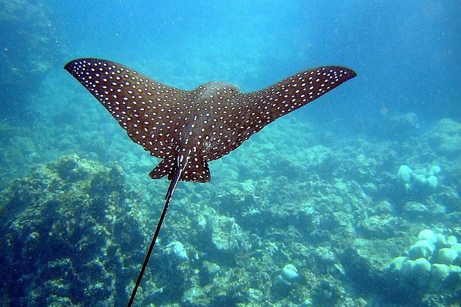 A BOAT TOUR to the TIJUCAS ISLANDS With an AMAZING UNDERWATER Flight! FRESH AIR and Freedom! - Traveler Reviews and Feedback