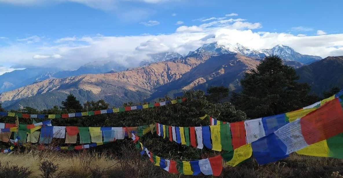 A Day Hiking From Kathmandu: Phulchowki Hill - Cultural Immersion Opportunities