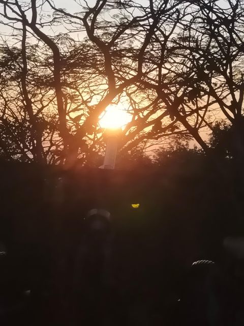 A Day Tuktuk Bambootrain,Fruit Bats, Banan,Killing&Bat Caves - Travel Tips and Recommendations