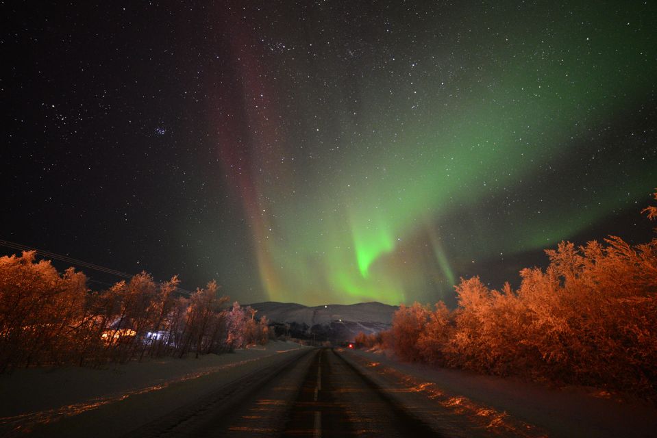 Abisko: Guided Aurora Chase With Hotel Transfers - Scenic Highlights