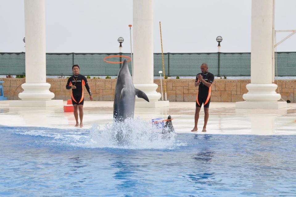 Alanya: Dolphin and Seal Show Ticket With Hotel Transfers - Participant Age and Language Options