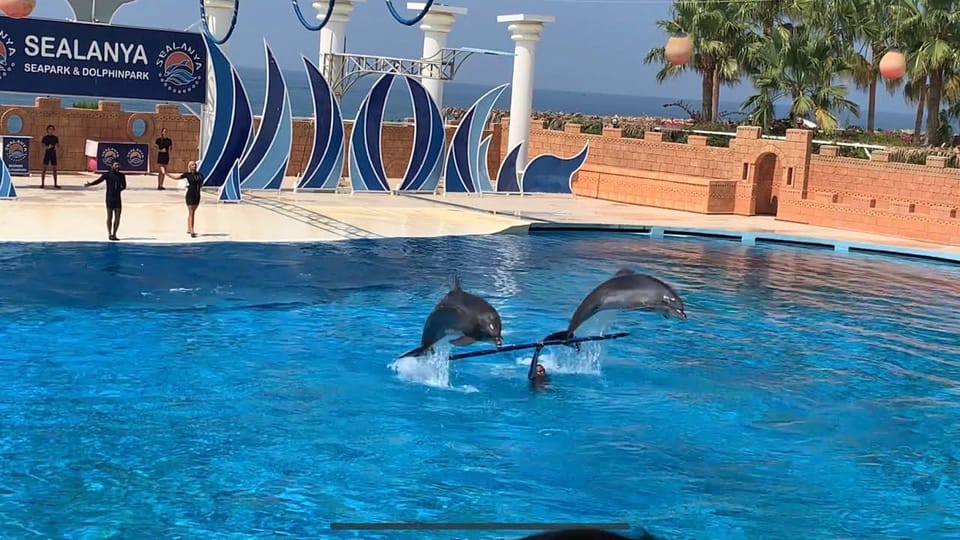 Alanya: Dolphin Park Transfers Service From All Locations - Safety and Health Considerations