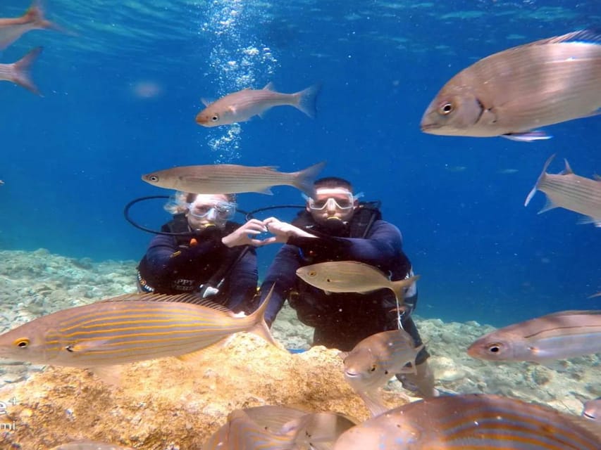 Alanya: Exclusive Double Dive Adventure & Gourmet Lunch - Frequently Asked Questions