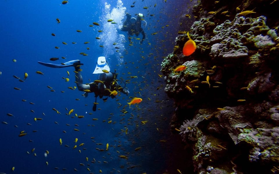 Alanya:Scuba Diving Boat Trip With Lunch and Transfer - Safety Guidelines