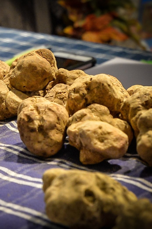 Alba Truffle Fair: Skip-the-Line Entrance and Private Tour - Pricing Details and Booking Process