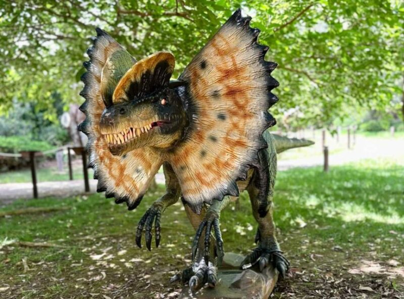 Alghero: Discover Dinosaurs in Porto Conte Park - Accessibility Features