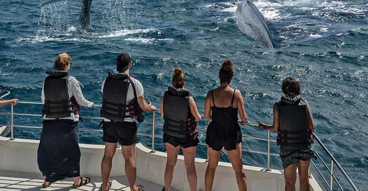 All Inclusive Mirissa Morning Whale Watching Boat Tour - Booking and Reservation Details