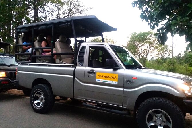 All Inclusive Safari at Udawalawa National Park - Accessibility Features