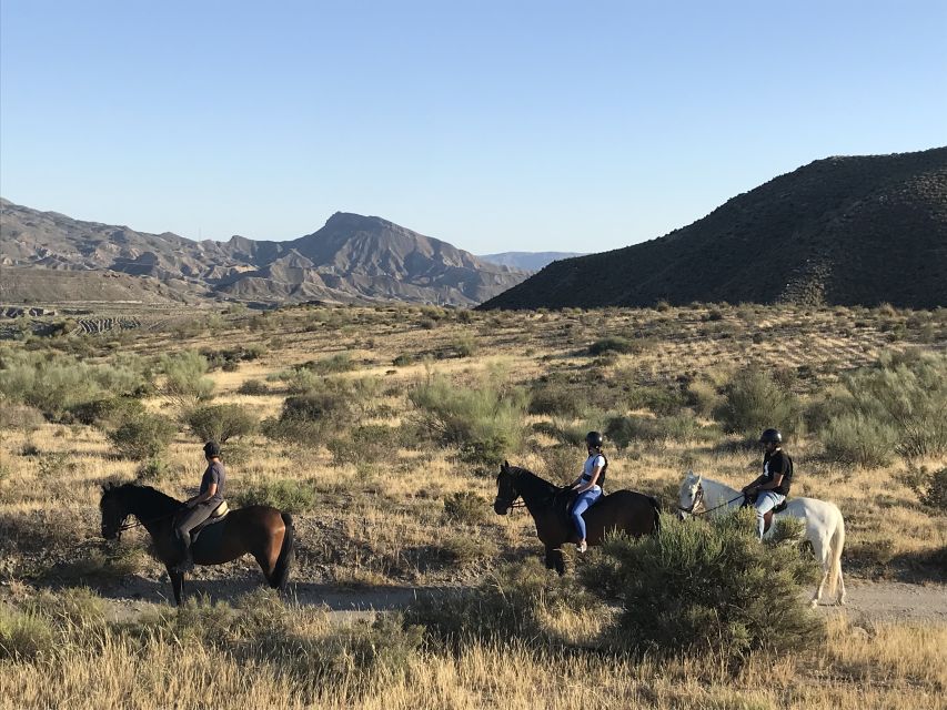 Almeria: Horse Riding Tour Through the Tabernas Desert - Customer Feedback and Ratings