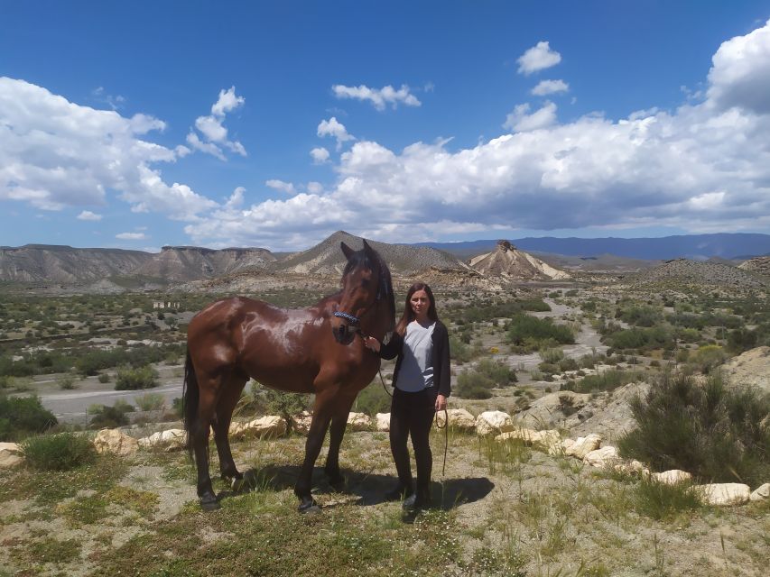 Almeria: Tabernas Desert Horse Riding for Experienced Riders - Feedback and Ratings