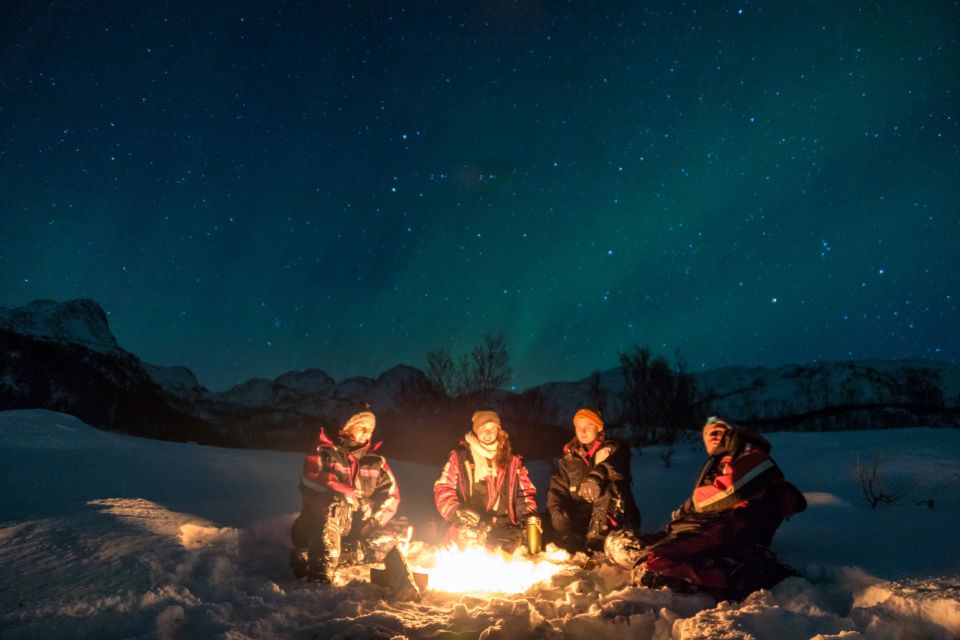 Alta: Small-Group Guided Northern Lights Tour - Important Information