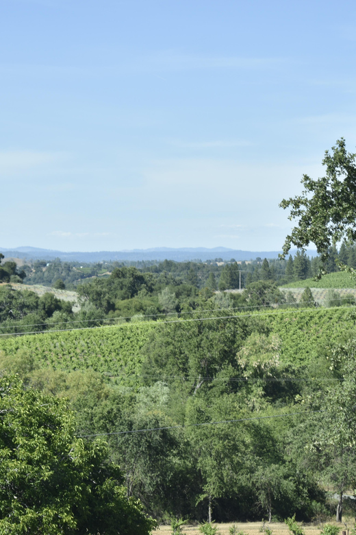 Amador County Wine Tasting Tour Private Tour 1 To 14 Group - Pricing Information