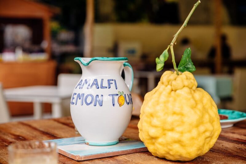 Amalfi: Vertical Lemon Farm Tour, Tastings, and Rural Museum - Accessibility and Restrictions