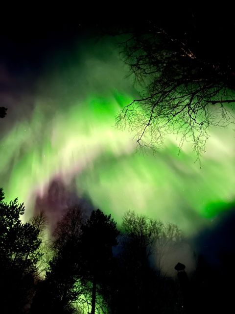 Amazing Aurora With BBQ in the Best Spot in Rovaniemi! - BBQ Delights Under the Stars