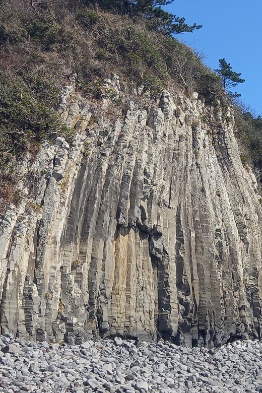 Amazing Jeju Volcano Island, Korea - Flexable Taxi Tour - Driver and Experience
