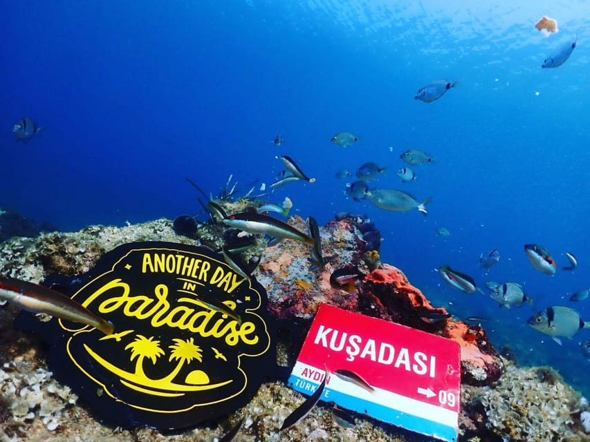 AMAZING KUSADASI SCUBA DIVING - Detailed Diving Information