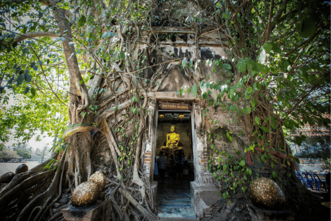 Amphawa & Railway Markets & Firefly Boat Ride: From BKK - Cancellation and Payment