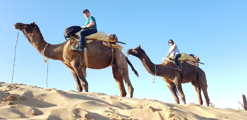 An Unforgettable Camel and Jeep Safari in Osian Villlage - Jeep Safari Experience