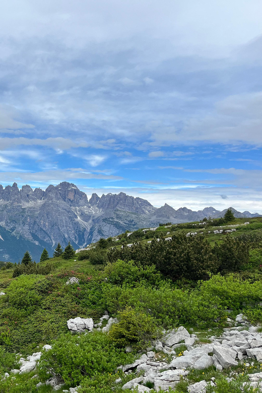 Andalo: Trekking Tour to Paganella's Caves & Eagles' Throne - Inclusions