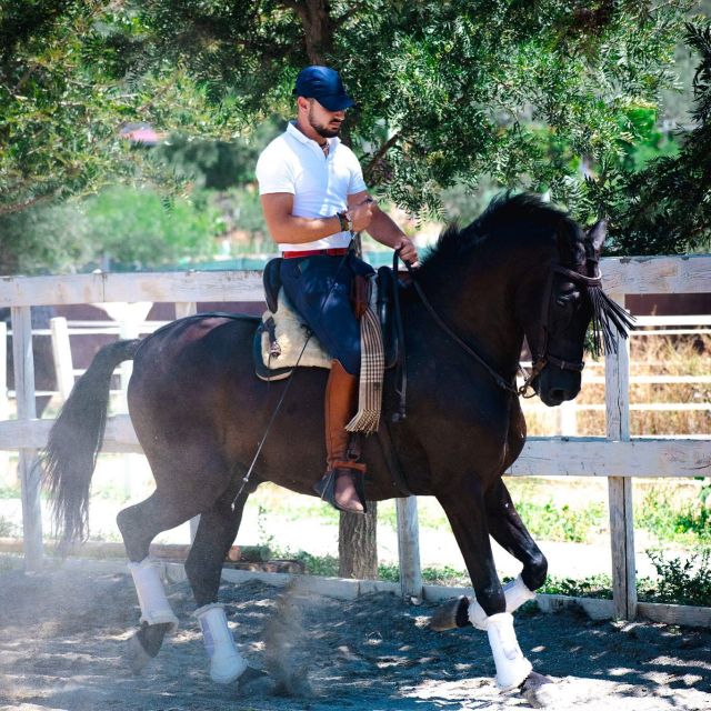 Andalucia: Horse Riding Tour With Picnic - Inclusions