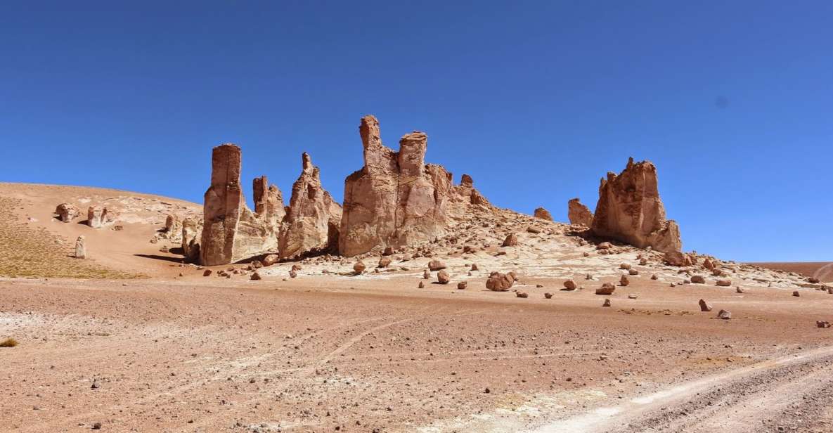 Andean Saltflats Full-Day With Breakfast and Lunch - Scenic Landscapes