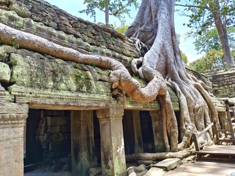 Angkor Wat: Highlights and Sunrise With Spanish Guide - Temples to Explore