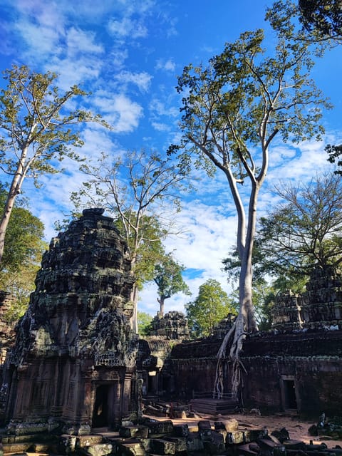 Angkor Wat Imaginary Experience - Key Highlights to Explore