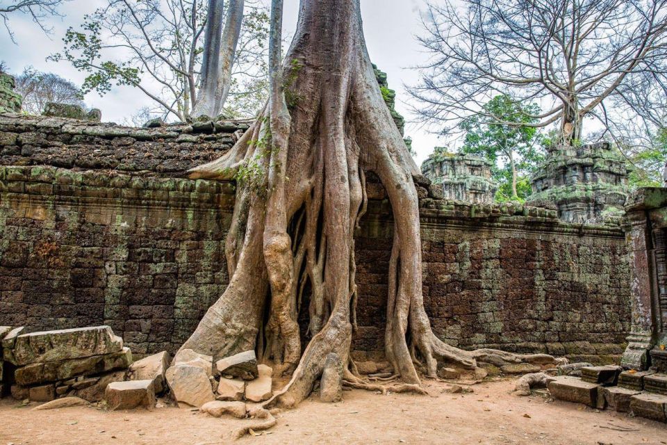 Angkor Wat Small Tour Sunrise With Private Tuk Tuk - Temples Included in the Tour