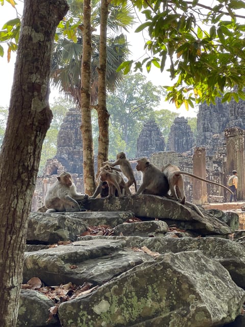 Angkor Wat Sunrise & Tonle Sap Lake Floating Village Tour - Inclusions and Fees