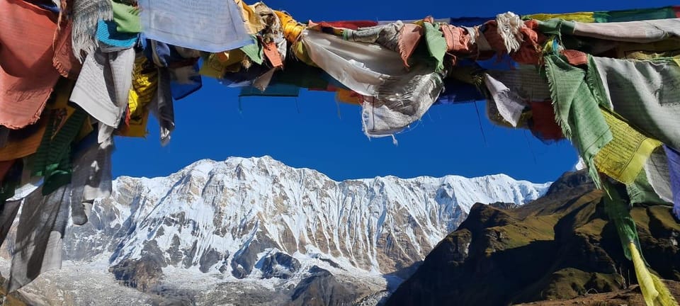 Annapurna Base Camp : 7-Day Moderate Round Trek. - Accommodations and Meals