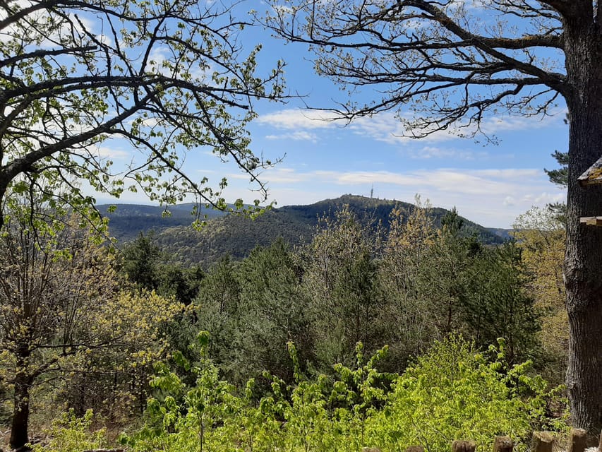 Annweiler and Castle Trifels, 3 Castles Guided Hiking Tour - Frequently Asked Questions