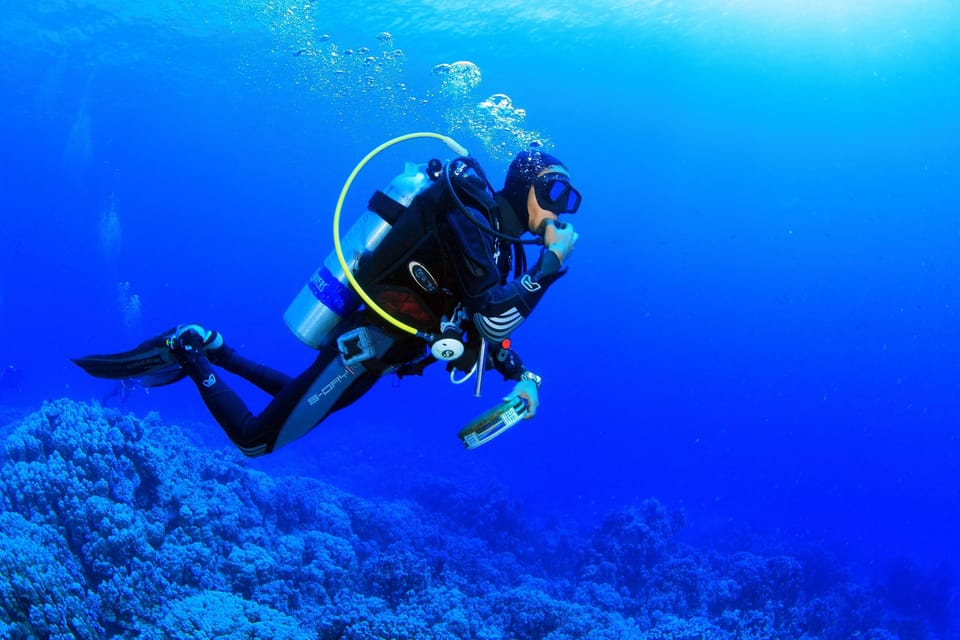 Antalya/ Belek: Scuba Diving Tour With 2 Time Dive & Lunch - Customer Feedback and Ratings