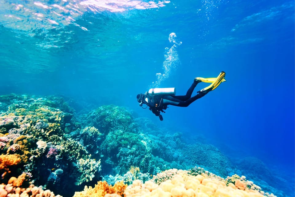 Antalya Exotic & Colourful Diving Tour - Underwater Adventure Details