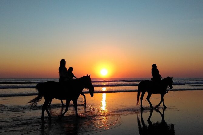 Antalya Horse Riding On Beach And Through The Forests For 2 Hours - Health and Safety Considerations