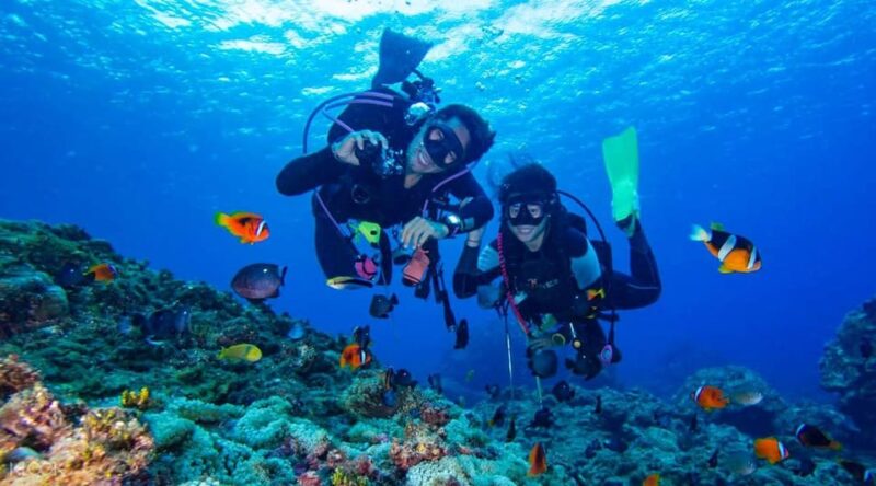 Antalya/ Kemer/ Belek: Scuba Diving With Lunch & Transfer - Inclusions of the Package