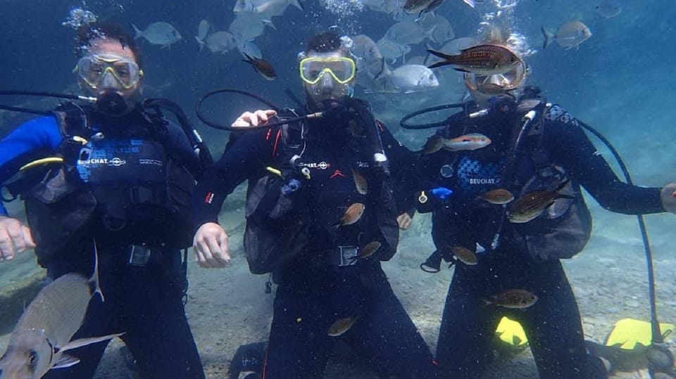 Antalya Scuba Diving Tour, With Lunch & Return Transfers - Inclusions and Exclusions