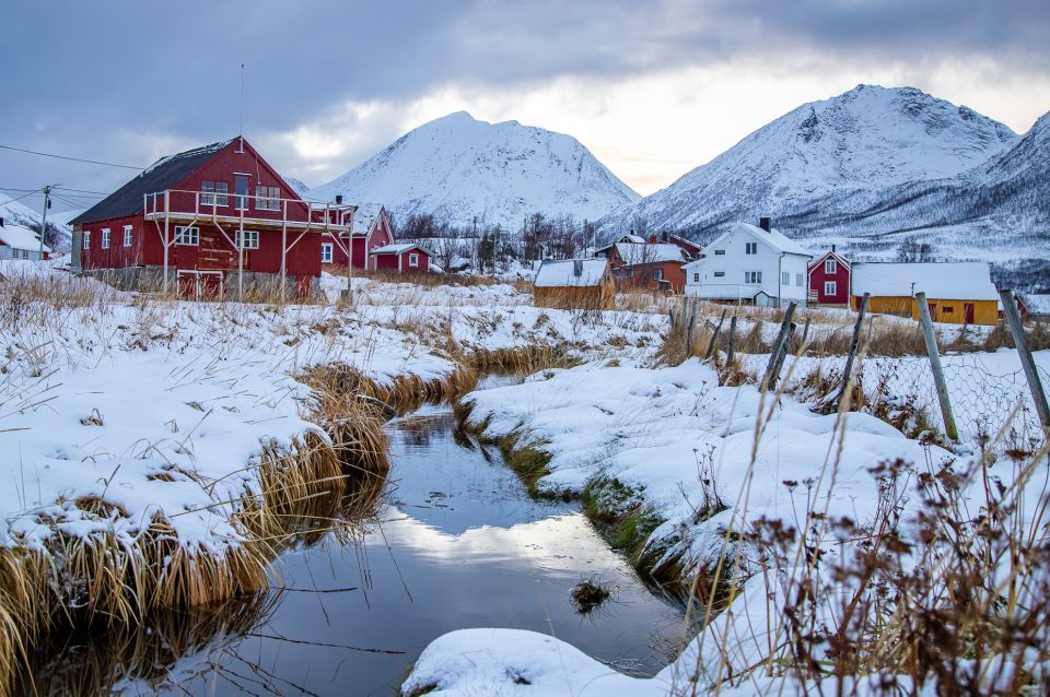 Arctic Nature Tour From Tromsø - Customer Reviews and Ratings