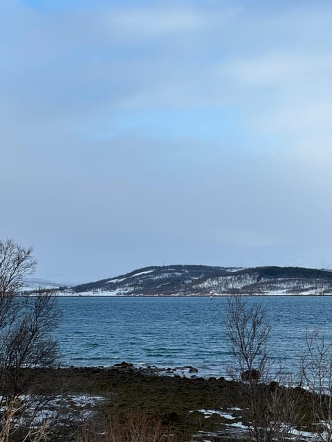 Arctic Nature Tour in Kvaløya With Hot Food and Drinks - Wildlife Sightings