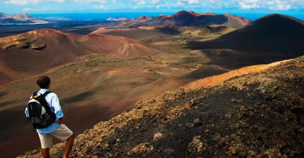 Arrecife/Playa Blanca: Timanfaya National Park Area Day Tour - Customer Reviews and Feedback