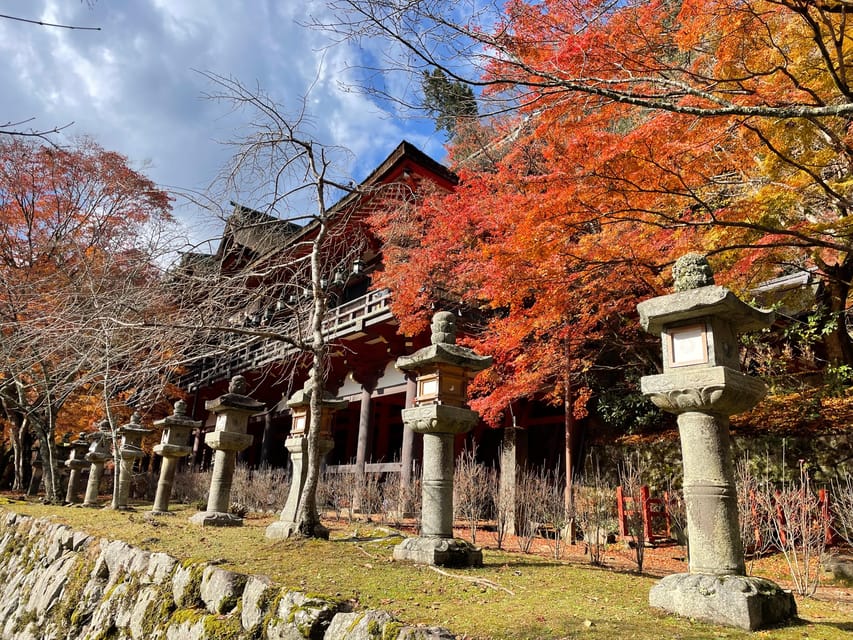 Asuka: Discover Origin of Japan–Historical Site and Nature - Nature and Scenery