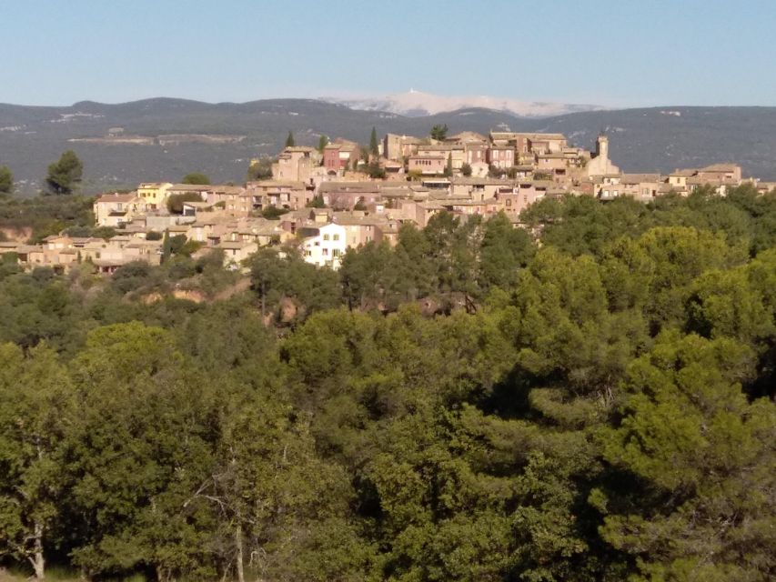 At the Start From Avignon: Half-Day in 3 Villages of Provence - Important Information