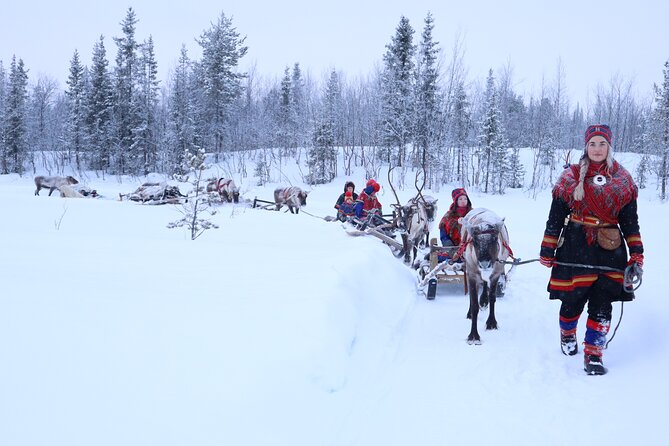 Aurora Hunting With Reindeer Caravan - Opportunity to View Northern Lights