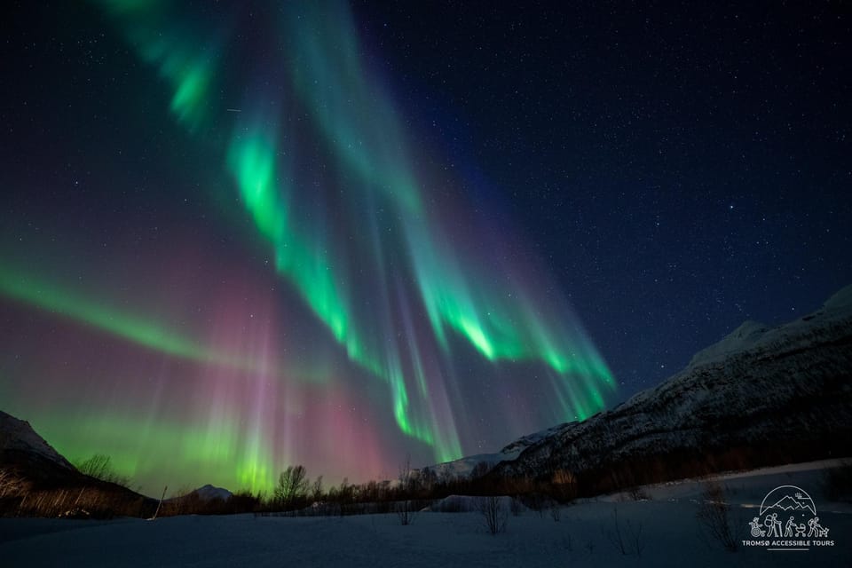 Aurora Tour For All - Booking and Cancellation Policy