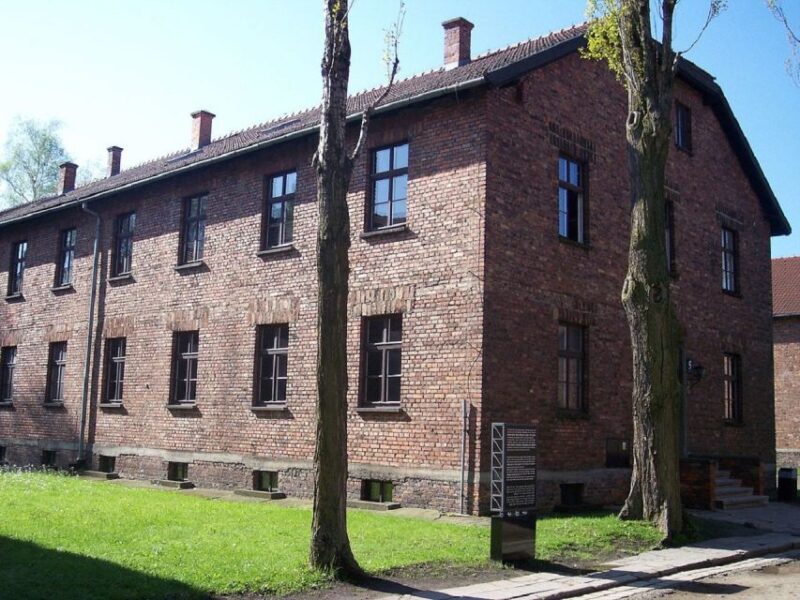 Auschwitz-Birkenau and Krakow Private Car Trip From Katowice - Transportation and Accessibility Details