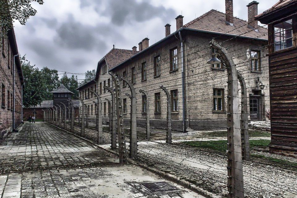 Auschwitz-Birkenau: Museum Entry Ticket With Guided Tour - Ticket Pricing