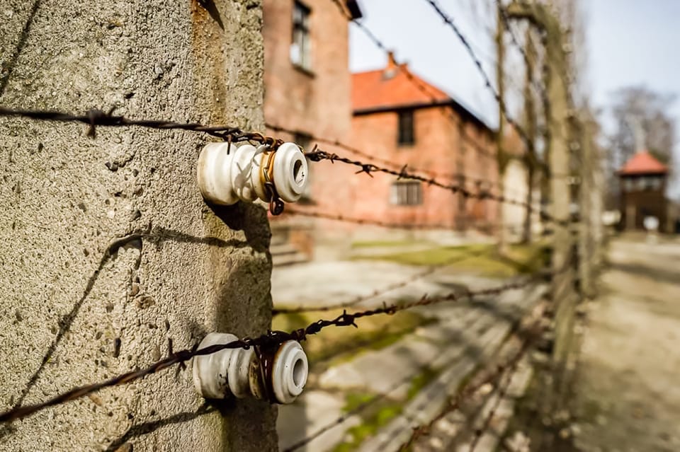 Auschwitz-Birkenau Skip-the-Line Guided Tour - Visitor Guidelines